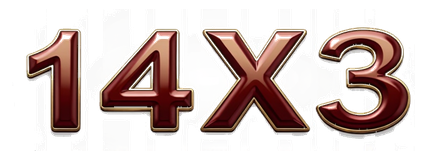 14x3 logo